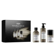 L'Oréal Professionnel Absolut Repair Molecular  Kit